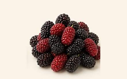 A pile of red and black Hasawi mulberries
