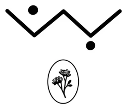 Bon Roastery logo